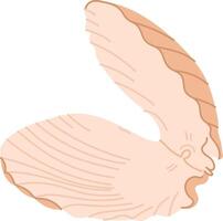 Open Clam Shell Design vector