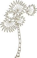 Palm Tree Line Art Sketch vector
