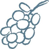 Grape Bunch Sketch vector