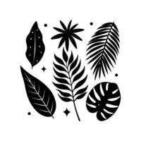 Set of beautiful hand drawing artistic tropical and leves with exotic forest.minimal botanical graphic sketch drawing, trendy tiny tattoo design, floral elements illustration.Wildflowe vector