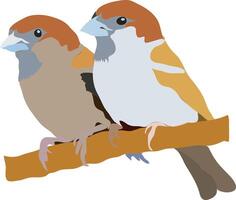 sparrows sitting on a branch of a tree art vector
