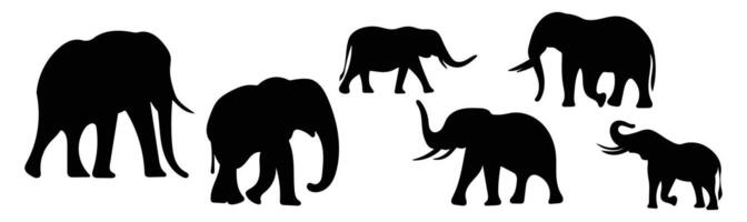 Silhouette set of elephant isolated on white background vector