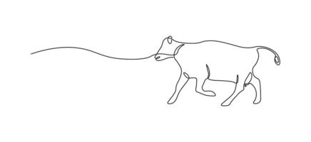 Cow in continuous line art drawing style. Animal minimalist black linear sketch isolated on white background vector