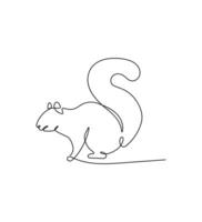 Squirrel continuous one line drawing on a white isolated background. vector