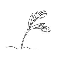 Tulip flower continuous one line drawing on a white isolated background. Floral illustration vector