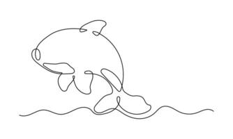 Orca continuous one line drawing. Animal illustration in minimalist black lines isolated on white background vector