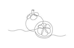 Mangosteen fruit in continuous line drawing style. Sketch of fruit in minimalist black lines isolated on white background vector