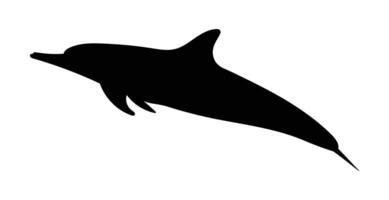 Silhouette dolphin isolated on white background vector