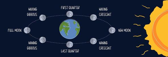 Lunar Orbit and Eclipse Stages Illustration in flat style on dark background. Lunar Shadow Path Diagram. All phases of the moon on the earth orbit vector