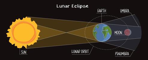 Lunar eclipse infographic in flat style on dark background. Moon orbit, umber and penumbra. Earth passes between the Moon and the Sun. astronomical event phenomenon of the full red moon. Blood moon vector