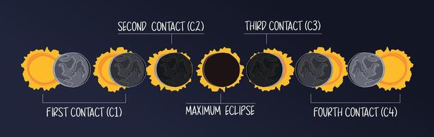 Infographic of the phases of the position of the sun and moon during a solar eclipse in flat style. Illustration of solar eclipse contact diagram vector