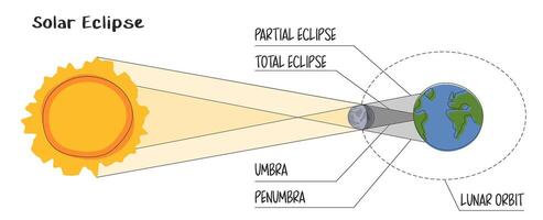 Solar eclipse infographic in flat style on the white background. Moon orbit, umbra and penumbra. Moon passes between Earth and the Sun. Direction of light and rays. Total and partial eclipse vector