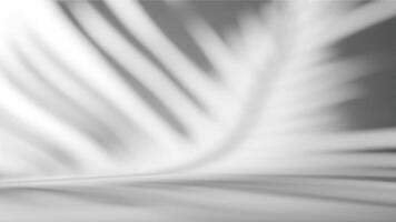 Minimal abstract summer background for product presentation with a palm leaf shadow. Blurred shadow from palm leaves. White color studio background. Empty room. Blurred backdrop. illustration. vector