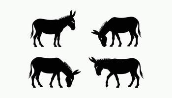 Black silhouettes of seven donkeys in different poses, including standing, grazing, and walking illustration vector