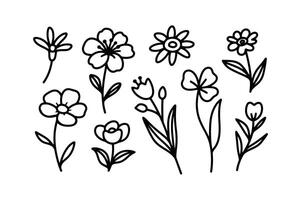 FLOWER LINE ICONS MINIMALIST DESIGN SET vector