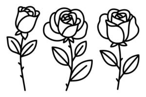Minimalist Rose Illustrations in Outline Form vector