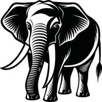 An elephant is standing in front of a white background vector