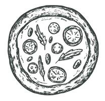 Italian traditional pizza wuth tomato in whimsial sketch style on transparent background vector