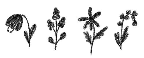 Set of spring flowers drawn with crayon or charcoal brush texture in black color vector