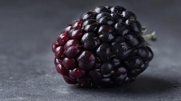 A blackberry on a gray background photo