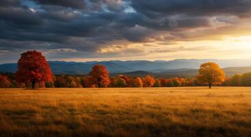 A field with trees and a mountain in the background photo