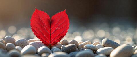 A red leaf sits on top of a pile of rocks photo