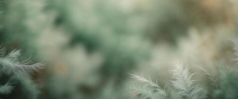 A blurry image of some green grass photo