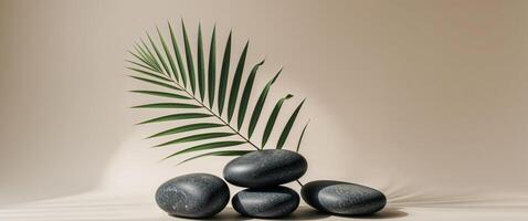 Three stones and a palm leaf on a light background photo
