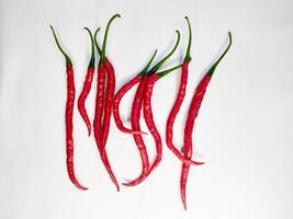 Fresh red chili arranged neatly on the surface of the white background photo