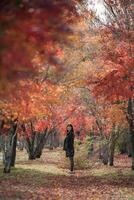 Southeast asian woman stands peacefully in forest filled with vibrant autumn leaves creating warm and serene atmosphere surrounded by colorful trees and fallen foliage photo