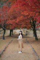 Southeast asian woman enjoys travel under vibrant red autumn trees in peaceful park setting, capturing serene concept of nature and exploration with joyful expression photo