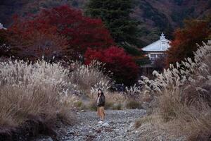 Southeast asian woman stands on rocky path surrounded by tall dry grass and vibrant red autumn trees with traditional building and mountain in background creating peaceful scene photo