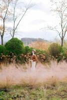Southeast asian woman stands peacefully in field of soft pink grass surrounded by autumn trees and green bushes under cloudy sky creating calm and serene atmosphere photo
