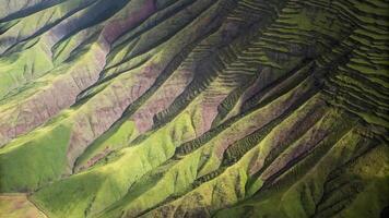 Aerial view of green and brown mountain ridges with terraced slopes in sunlight photo