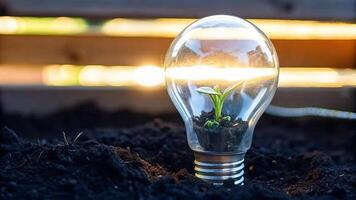 A lightbulb with a plant growing inside sitting on soil with a blurred background photo