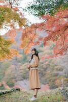 Southeast Asian woman enjoys travel in autumn forest with colorful leaves, wearing brown dress and smiling peacefully in nature, surrounded by vibrant foliage photo