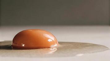 A close up of a single egg yolk on a white surface with a neutral colored background photo