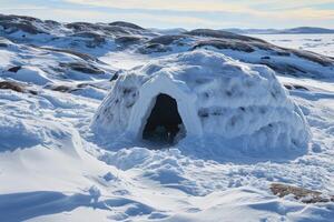 A luminous igloo against a backdrop of snow-draped pine trees and a star-filled sky. photo