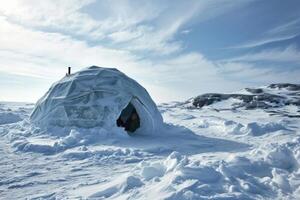 A picturesque igloo in a frosty forest, with icicle-covered branches and a starlit sky. photo