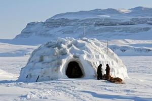 A cozy igloo perched on a frozen hillside, with sparkling snowflakes gently falling. photo