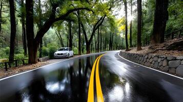 Scenic Winding Road Through Lush Green Forest with White Car Wet Asphalt Double Yellow Lines photo