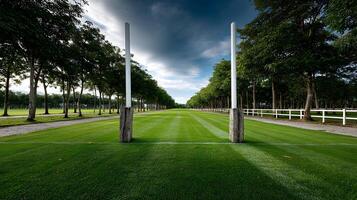 Serene Green Polo Field with Tree Lined Pathway and White Posts under a Dramatic Sky photo
