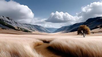 Serene Valley Landscape Lone Tree in Golden Grassland under Dramatic Sky photo