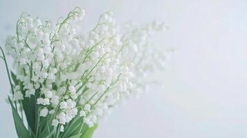 Delicate White Lily of the Valley Bouquet on Soft White Background photo