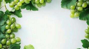 Grapes on white background with copy space photo