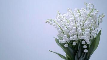 A vase with white flowers in it photo