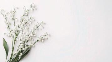 Lily of the valley flowers on a white background photo