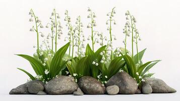 Lily of the valley 3d model photo