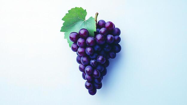 A bunch of grapes on a white background photo