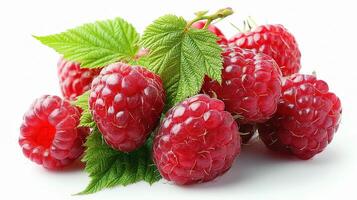 Raspberries are on a white background photo